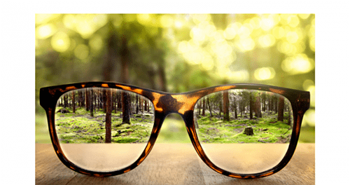 Prescription Eye Glasses Prescription Eye Glasses
